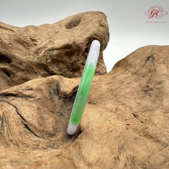 【肌容雪】天然緬甸A貨翡翠春彩貴妃鐲 編號844(鐲圍53.7mm#17號)