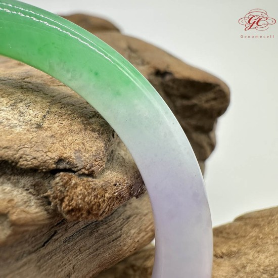 【肌容雪】天然緬甸A貨翡翠春彩貴妃鐲 編號844(鐲圍53.7mm#17號)