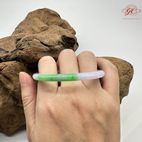 【肌容雪】天然緬甸A貨翡翠春彩貴妃鐲 編號844(鐲圍53.7mm#17號)