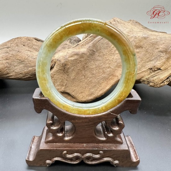 【肌容雪】天然緬甸A貨淡綠黃褐翡翠圓條手鐲 編號920(鐲圍55.1mm#17.5號)
