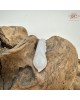 【肌容雪】天然緬甸A貨翡翠福豆造型吊墜 編號975 【肌容雪】天然緬甸A貨翡翠福豆造型吊墜 編號975