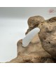 【肌容雪】天然緬甸A貨翡翠福豆造型吊墜 編號975 【肌容雪】天然緬甸A貨翡翠福豆造型吊墜 編號975
