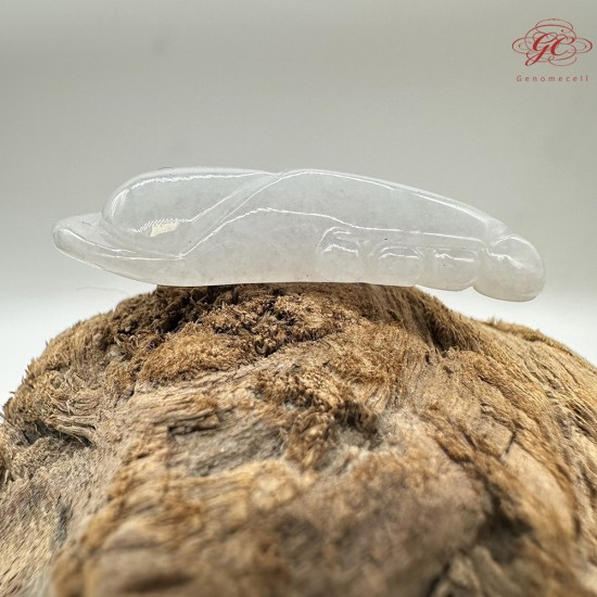 【肌容雪】天然緬甸A貨翡翠福豆造型吊墜 編號975 【肌容雪】天然緬甸A貨翡翠福豆造型吊墜 編號975
