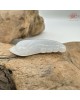 【肌容雪】天然緬甸A貨翡翠福豆造型吊墜 編號975 【肌容雪】天然緬甸A貨翡翠福豆造型吊墜 編號975