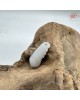 【肌容雪】天然緬甸A貨翡翠福豆造型吊墜 編號975 【肌容雪】天然緬甸A貨翡翠福豆造型吊墜 編號975