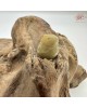 【肌容雪】天然緬甸A貨翡翠葫蘆造型吊墜 編號976 【肌容雪】天然緬甸A貨翡翠葫蘆造型吊墜 編號976