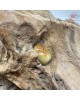 【肌容雪】天然緬甸A貨翡翠葫蘆造型吊墜 編號976 【肌容雪】天然緬甸A貨翡翠葫蘆造型吊墜 編號976