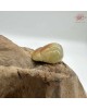 【肌容雪】天然緬甸A貨翡翠葫蘆造型吊墜 編號976 【肌容雪】天然緬甸A貨翡翠葫蘆造型吊墜 編號976