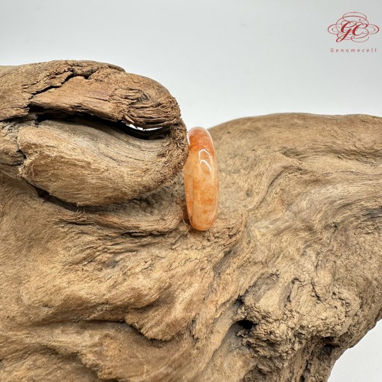 【肌容雪】天然緬甸翡翠A貨紅翡翠戒圈 編號987(戒圍16.5mm#11號)