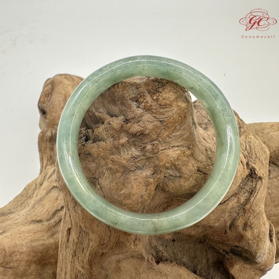 【肌容雪】天然美石冰芹綠飄花平安鐲 編號B223(鐲圍54.5mm#17號) 【肌容雪】天然美石冰芹綠飄花平安鐲 編號B223(鐲圍54.5mm#17號)