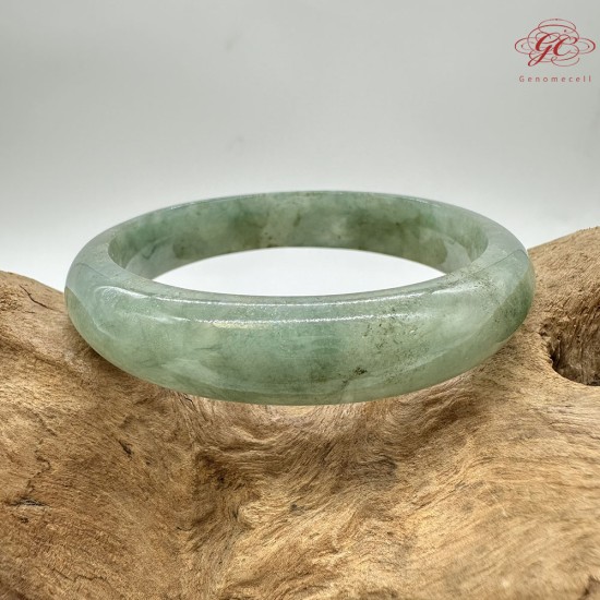 【肌容雪】天然美石冰芹綠飄花平安鐲 編號B223(鐲圍54.5mm#17號) 【肌容雪】天然美石冰芹綠飄花平安鐲 編號B223(鐲圍54.5mm#17號)