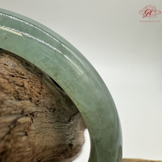 【肌容雪】天然美石冰芹綠飄花平安鐲 編號B223(鐲圍54.5mm#17號) 【肌容雪】天然美石冰芹綠飄花平安鐲 編號B223(鐲圍54.5mm#17號)