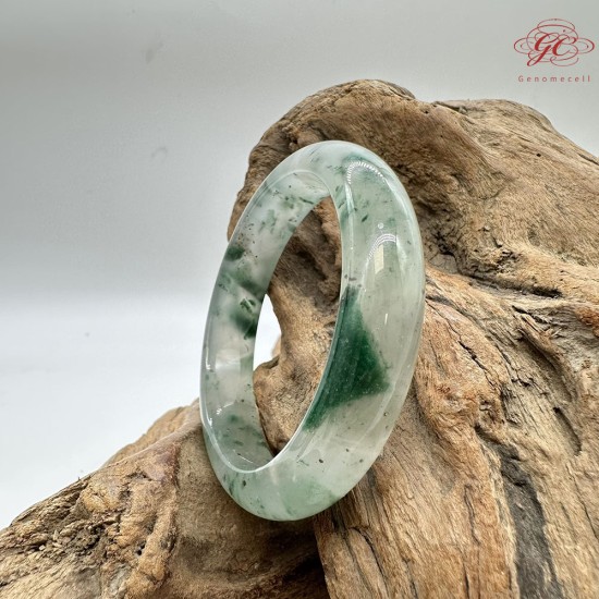 【肌容雪】天然非洲翠-冰雪飄花翠鐲 編號F01(鐲圍55.7mm#17.5號) 【肌容雪】天然非洲翠-冰雪飄花翠鐲 編號F01(鐲圍55.7mm#17.5號)