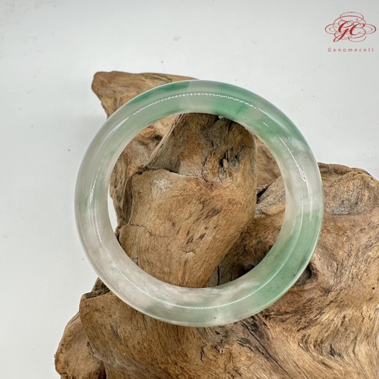 【肌容雪】天然非洲翠-薄霧翠綠鐲 編號F05(鐲圍59.0mm#18.5號) 【肌容雪】天然非洲翠-薄霧翠綠鐲 編號F05(鐲圍59.0mm#18.5號)