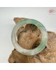 【肌容雪】天然非洲翠-薄霧翠綠鐲 編號F05(鐲圍59.0mm#18.5號) 【肌容雪】天然非洲翠-薄霧翠綠鐲 編號F05(鐲圍59.0mm#18.5號)