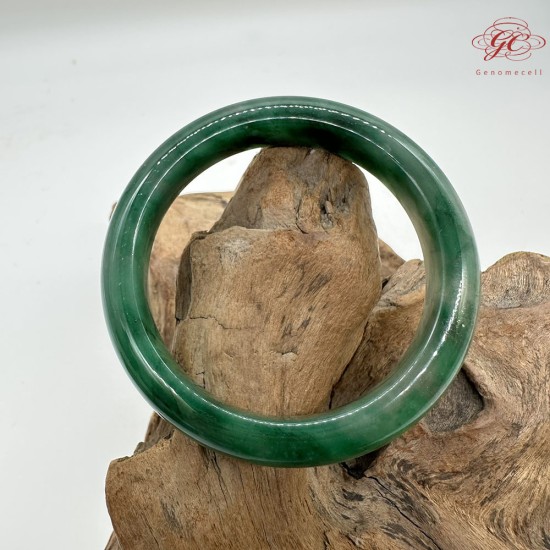 【肌容雪】天然非洲翠-幽竹涵翠鐲 編號F06(鐲圍59.3mm#18.5號) 【肌容雪】天然非洲翠-幽竹涵翠鐲 編號F06(鐲圍59.3mm#18.5號)