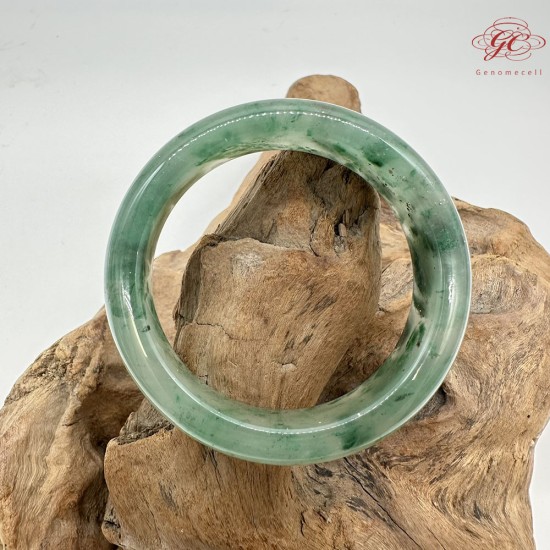【肌容雪】天然非洲翠-銀河閃綠鐲 編號F09(鐲圍59.1mm#18.5號) 【肌容雪】天然非洲翠-銀河閃綠鐲 編號F09(鐲圍59.1mm#18.5號)
