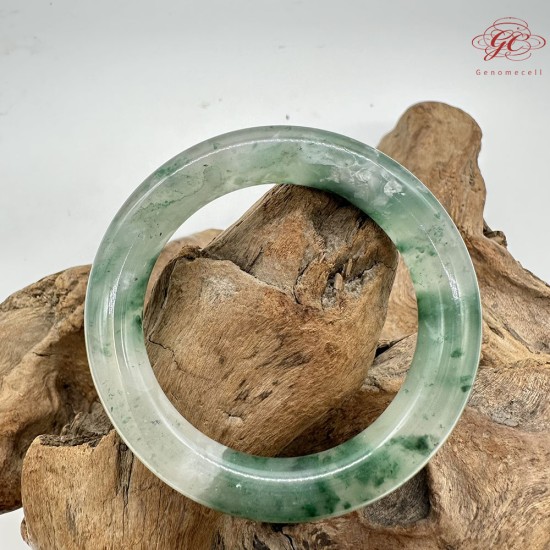 【肌容雪】天然非洲翠-樹影幽翠鐲 編號F10(鐲圍51.1mm#16號) 【肌容雪】天然非洲翠-樹影幽翠鐲 編號F10(鐲圍51.1mm#16號)