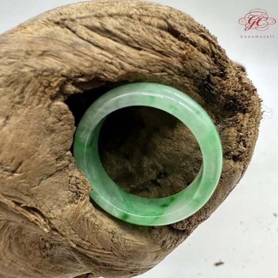 【肌容雪】天然緬甸A貨翡翠綠飄花戒圈 編號1001(戒圍17.8mm#12號) 【肌容雪】天然緬甸A貨翡翠綠飄花戒圈 編號1001(戒圍17.8mm#12號)