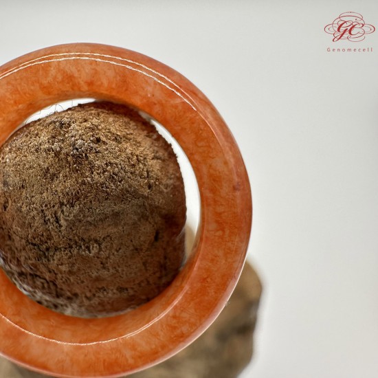 【肌容雪】天然緬甸A貨滿圈紅翡翠戒圈 編號1026(戒圍17.6mm#12號 )