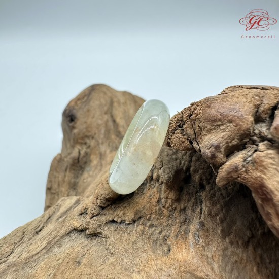 【肌容雪】天然緬甸A貨黃綠翡翠戒圈 編號1029(戒圍16.9mm#10號)