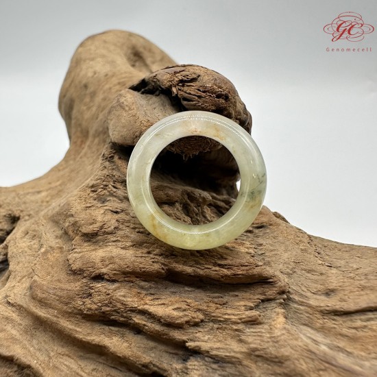 【肌容雪】天然緬甸A貨黃綠翡翠戒圈 編號1029(戒圍16.9mm#10號)