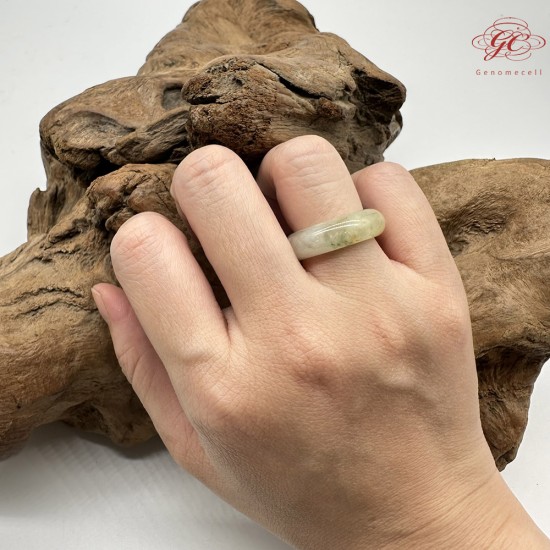 【肌容雪】天然緬甸A貨黃綠翡翠戒圈 編號1029(戒圍16.9mm#10號)