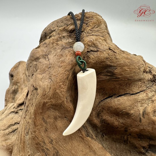 【肌容雪】天然美石猛瑪牙項鍊繩 編號B107