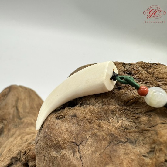 【肌容雪】天然美石猛瑪牙項鍊繩 編號B107