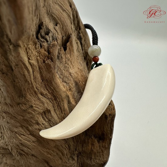 【肌容雪】天然美石猛瑪牙項鍊繩 編號B107