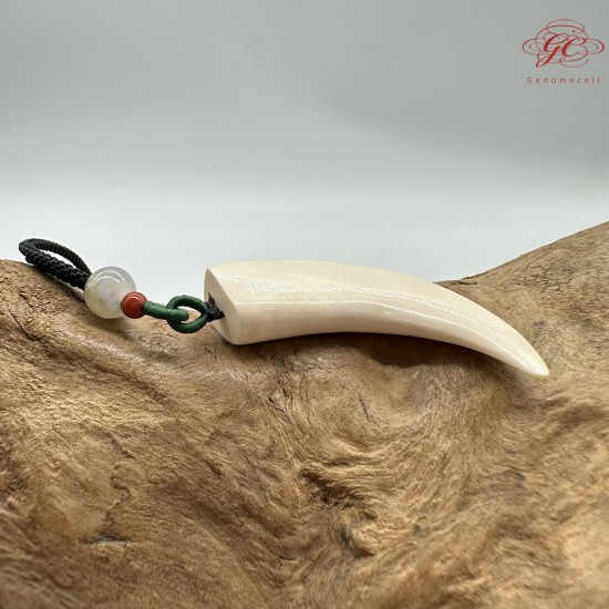 【肌容雪】天然美石猛瑪牙項鍊繩 編號B107