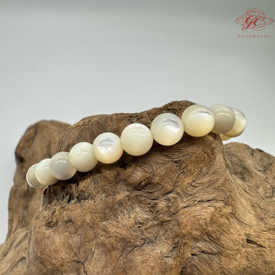 【肌容雪】天然美石白蝶貝殼手串 編號B132