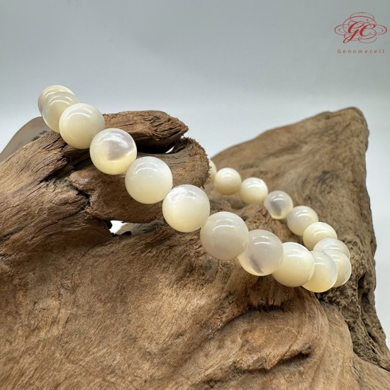 【肌容雪】天然美石白蝶貝殼手串 編號B132