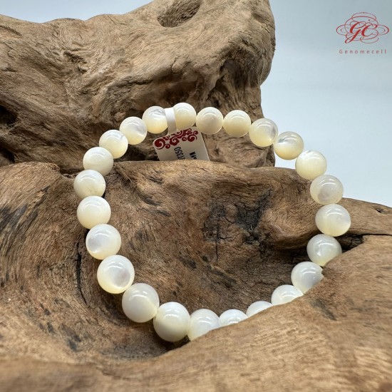 【肌容雪】天然美石白蝶貝殼手串 編號B132