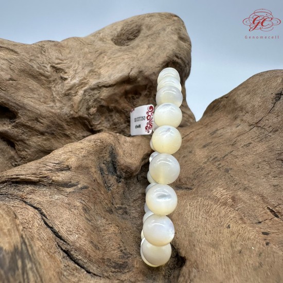 【肌容雪】天然美石白蝶貝殼手串 編號B132