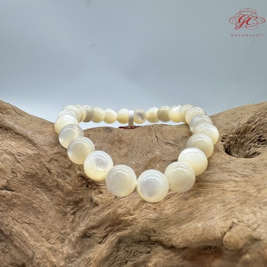 【肌容雪】天然美石白蝶貝殼手串 編號B132