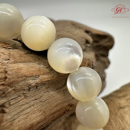 【肌容雪】天然美石白蝶貝殼手串 編號B132