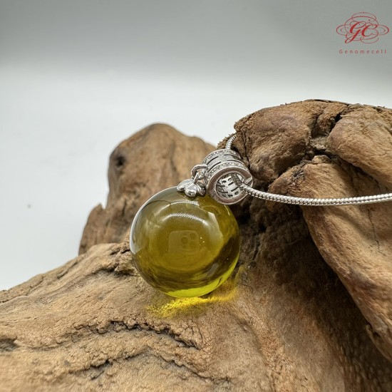 【肌容雪】天然美石綠琥珀圓珠項鍊 編號B141