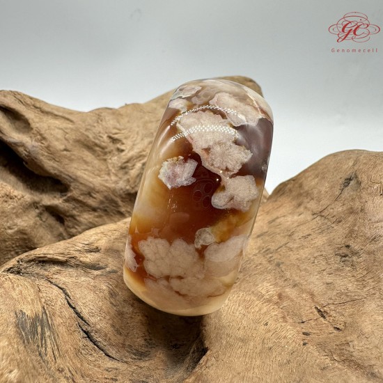 【肌容雪】天然美石焦糖色櫻花瑪瑙手鐲 編號B193(鐲圍57.5mm#18號)