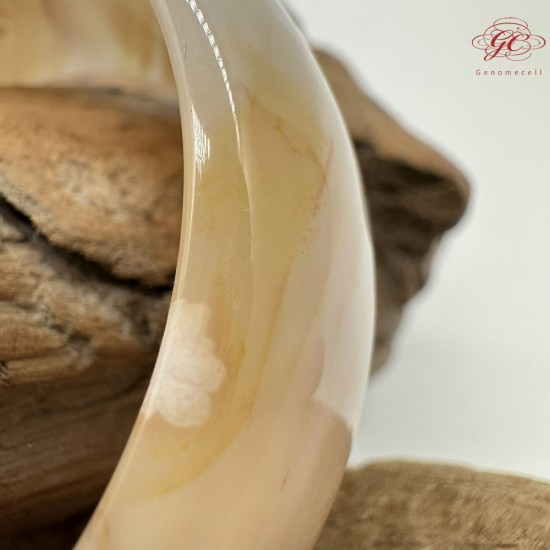 【肌容雪】天然美石櫻花瑪瑙手鐲 編號B197(鐲圍52.6mm#16.5號)