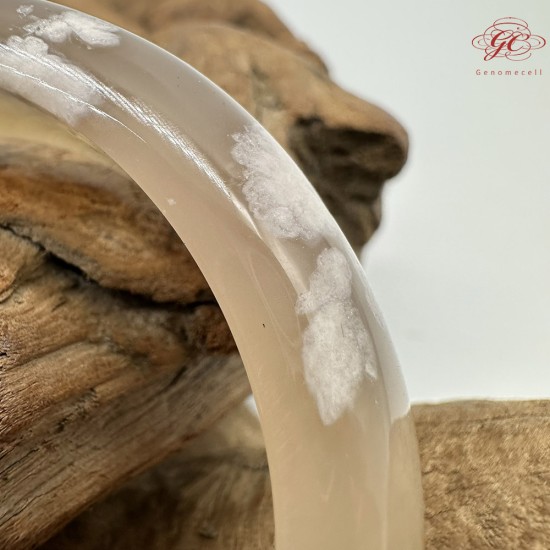 【肌容雪】天然美石焦糖色櫻花瑪瑙手鐲 編號B198(鐲圍56.3mm#17.5號)