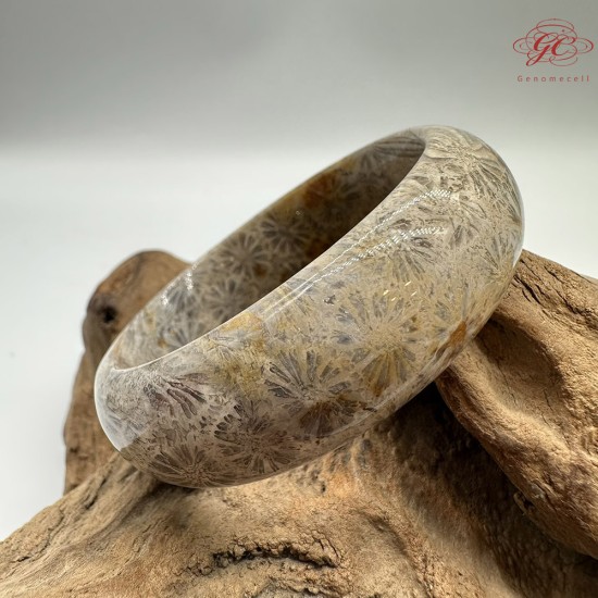 【肌容雪】天然美石珊瑚手鐲 編號B199(鐲圍54.8mm#17號)