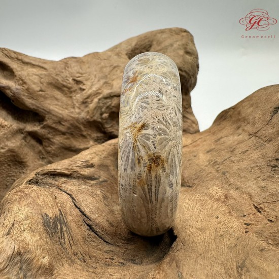 【肌容雪】天然美石珊瑚手鐲 編號B199(鐲圍54.8mm#17號)