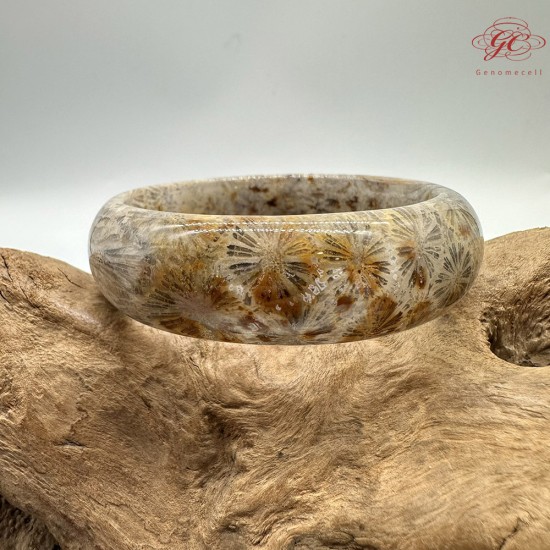 【肌容雪】天然美石珊瑚手鐲 編號B199(鐲圍54.8mm#17號)