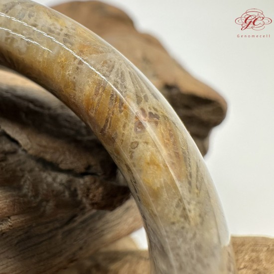 【肌容雪】天然美石珊瑚手鐲 編號B199(鐲圍54.8mm#17號)