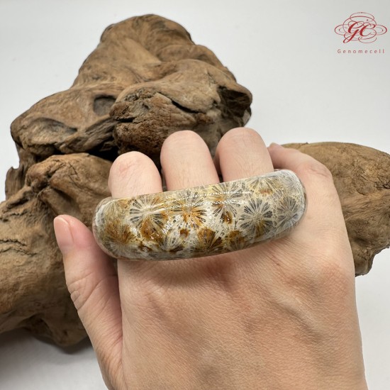 【肌容雪】天然美石珊瑚手鐲 編號B199(鐲圍54.8mm#17號)