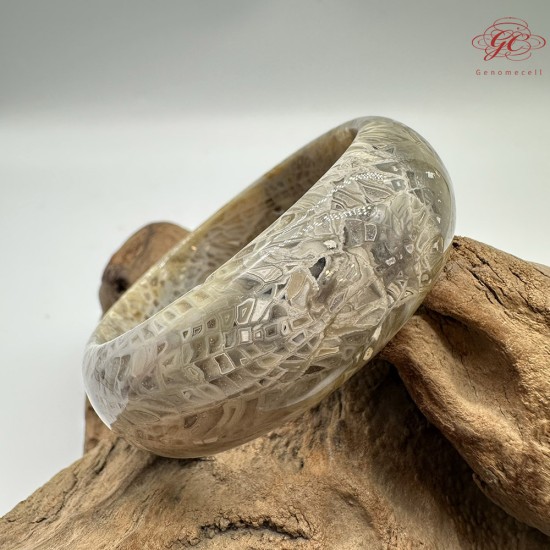 【肌容雪】天然美石珊瑚手鐲 編號B200(鐲圍55.8mm#17.5號)