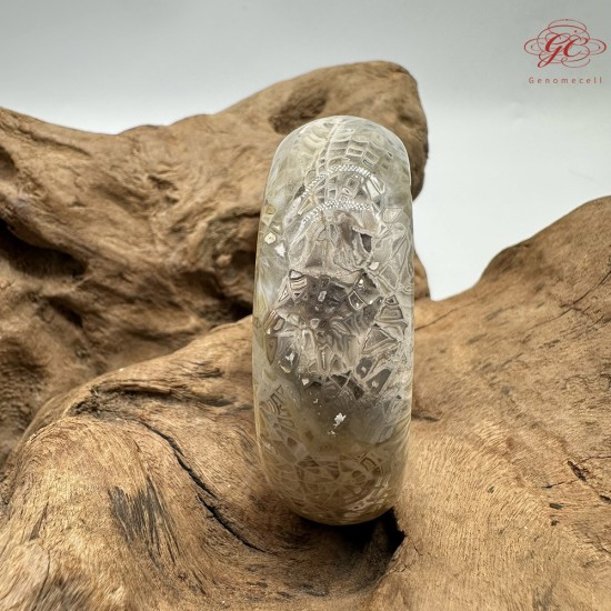 【肌容雪】天然美石珊瑚手鐲 編號B200(鐲圍55.8mm#17.5號)