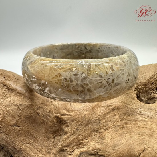 【肌容雪】天然美石珊瑚手鐲 編號B200(鐲圍55.8mm#17.5號)