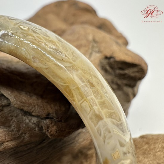 【肌容雪】天然美石珊瑚手鐲 編號B200(鐲圍55.8mm#17.5號)